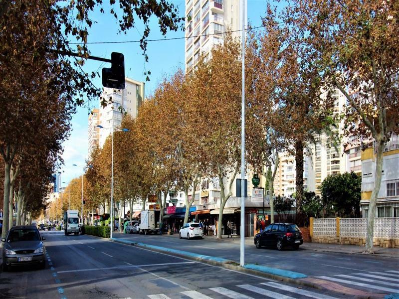 Apartamento Coblanca 41-234 Benidorm Dış mekan fotoğraf